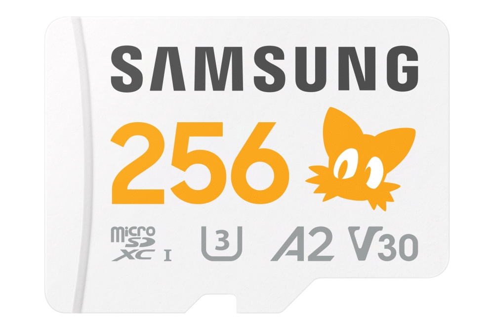 Samsung MB-MD256S Memory Cards - Multi