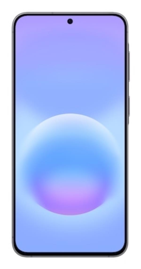 Samsung Galaxy A57 5G Enterprise Edition 17 cm (6.7") Dual SIM USB Type-C 8 GB 256 GB 5000 mAh Grey